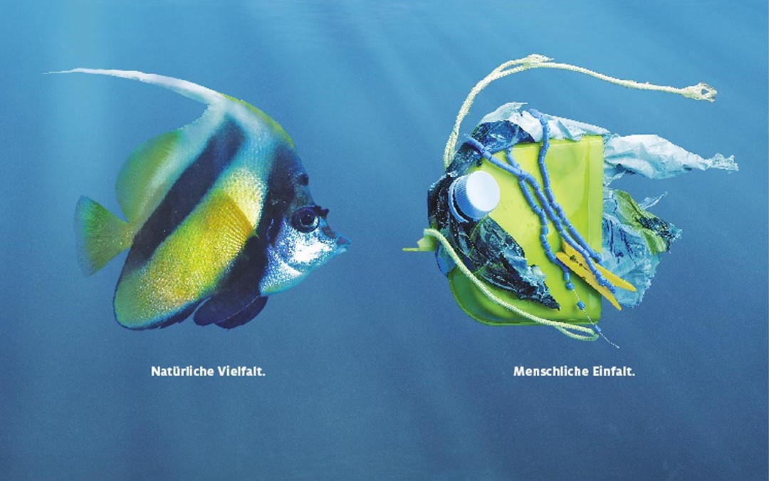 Plastik statt Plankton.