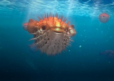 Oceancare