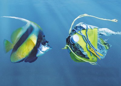 OceanCare