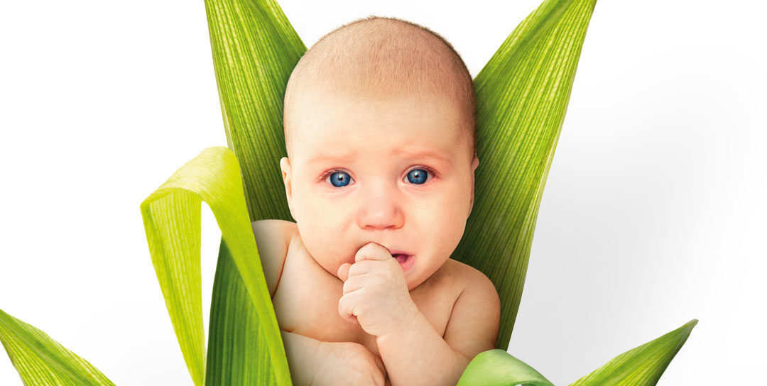 Nein zu „Monsanto-Kindern“