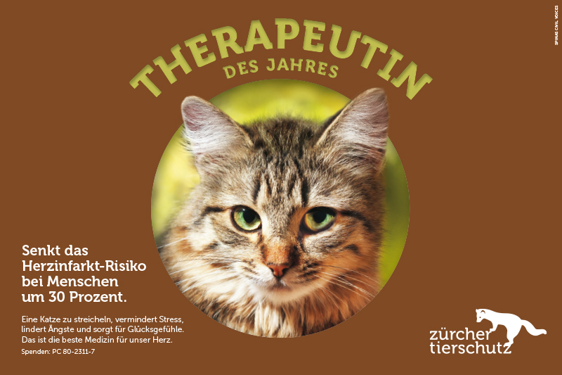 Katze als Therapeutin des Jahres ausgezeichnet