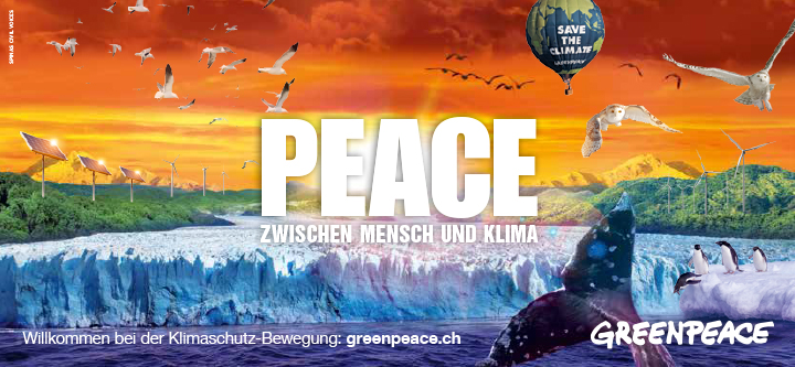 Runter zu den Wurzeln. Und zurück zu ihnen.